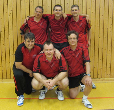 1_Herren_2012_2013_Mannschaftsfoto_Hinserie_2